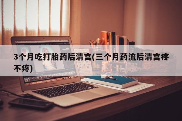 私人卖堕胎药的微信3个月吃打胎药后清宫(三个月药流后清宫疼不疼)